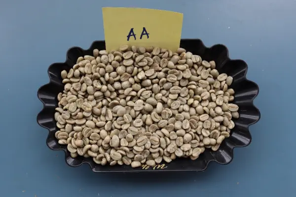 Grade AA green coffee