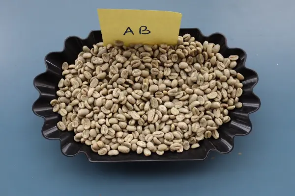 Grade AB green coffee
