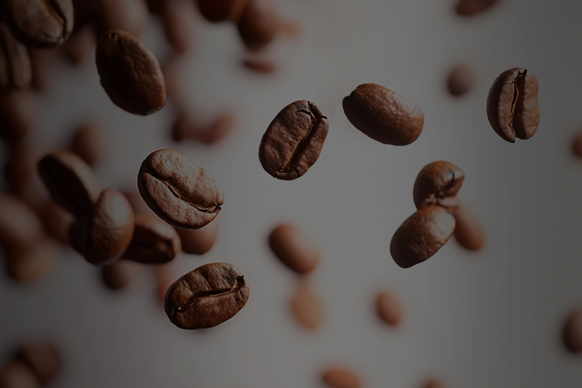 Roasted coffee beans