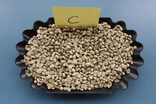 Grade C green coffee