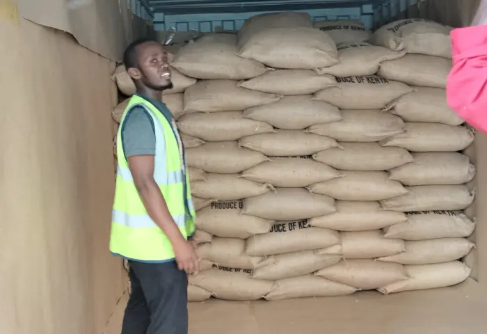 Coffee bags stacked in a container