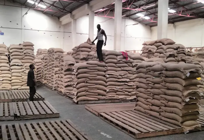 Coffee warehouse in Nairobi