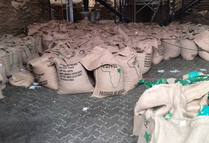 Bags of green coffee in the warehouse