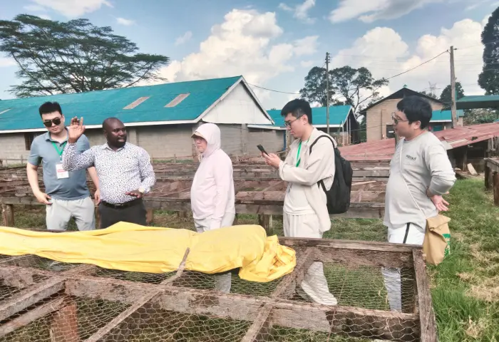 Coffee drying beds at a Kenyan factory
