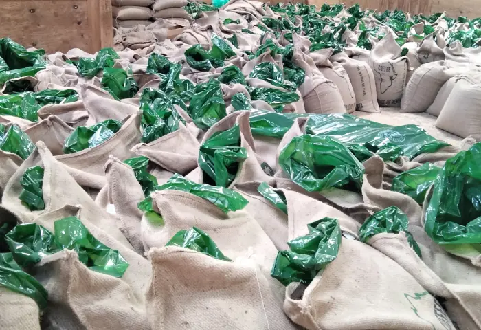 Green coffee bags at the mill