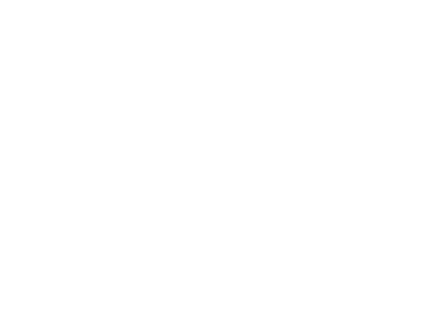 Coronet Coffee — Coronet Treasure Ltd