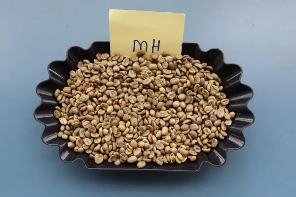 Grade MH Mbuni natural coffee
