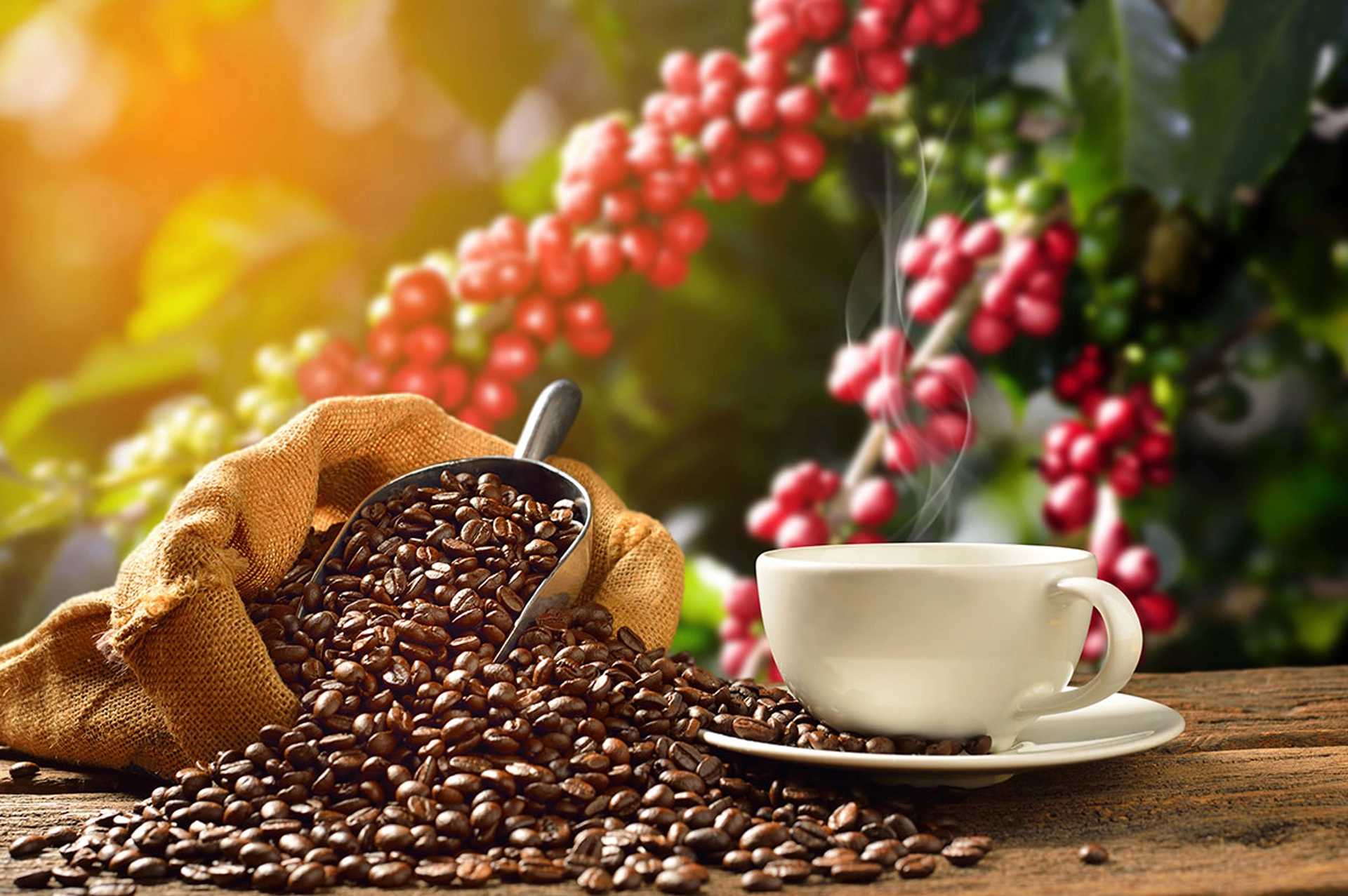 Kenyan coffee and green-coffee sacks