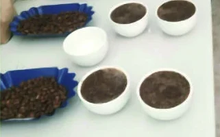 Graded samples laid out for cupping